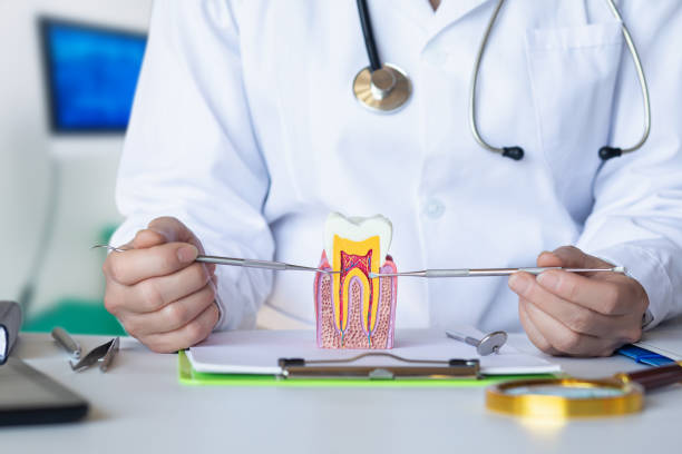 Best Urgent Dental Care for Toothaches in Fulton, MS